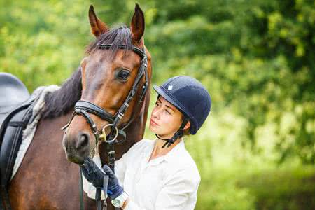 MoneyCheck | Reitlehrerversicherung