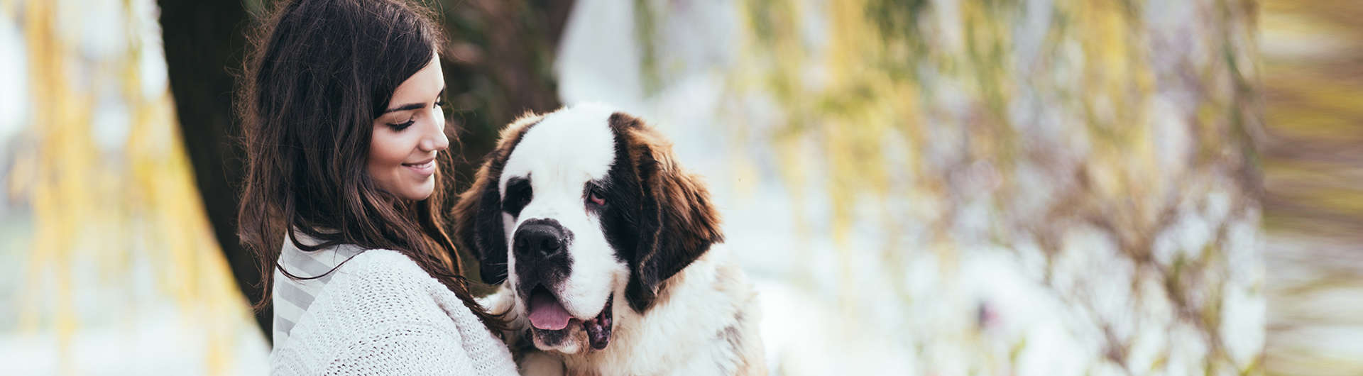 Hundehaftpflicht & Hundeversicherung Bernhardiner