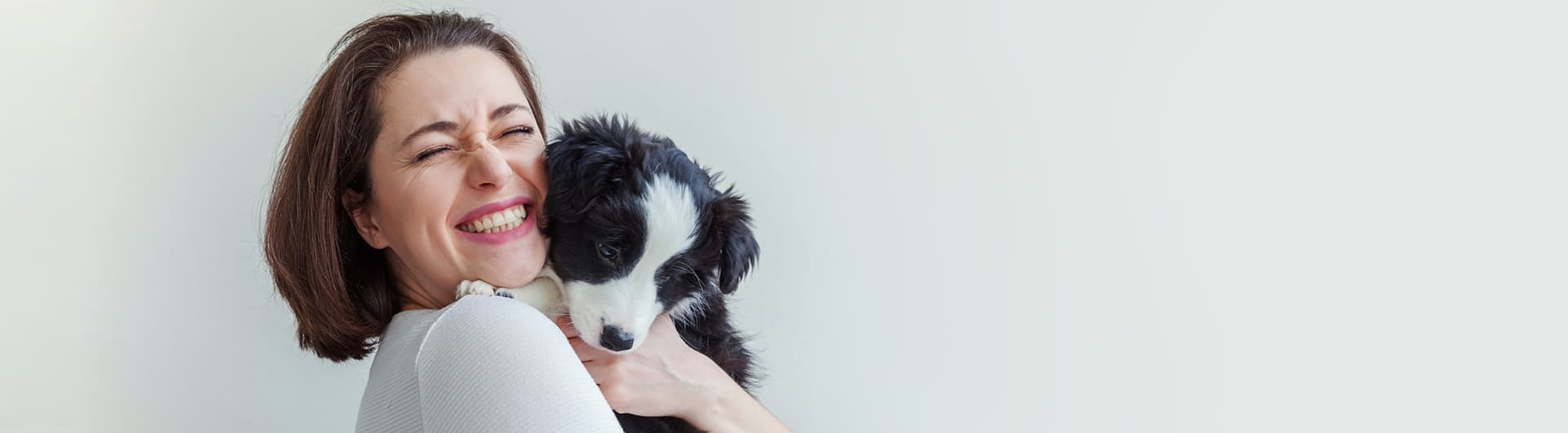 Hundehaftpflicht & Hundeversicherung Border-Collie