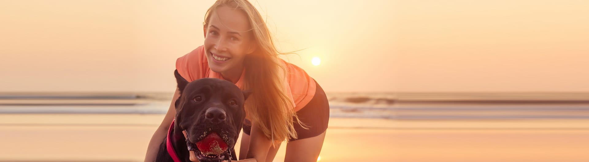 Hundehaftpflicht & Hundeversicherung Bulldogge