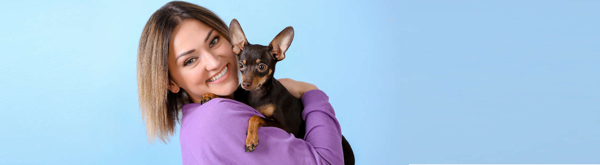 Hundehaftpflicht & Hundeversicherung Chihuahua