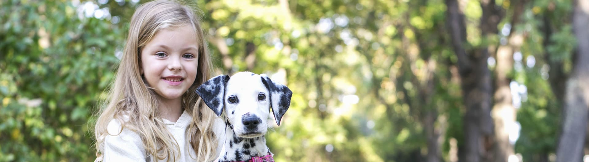 Hundehaftpflicht & Hundeversicherung Dalmatiner