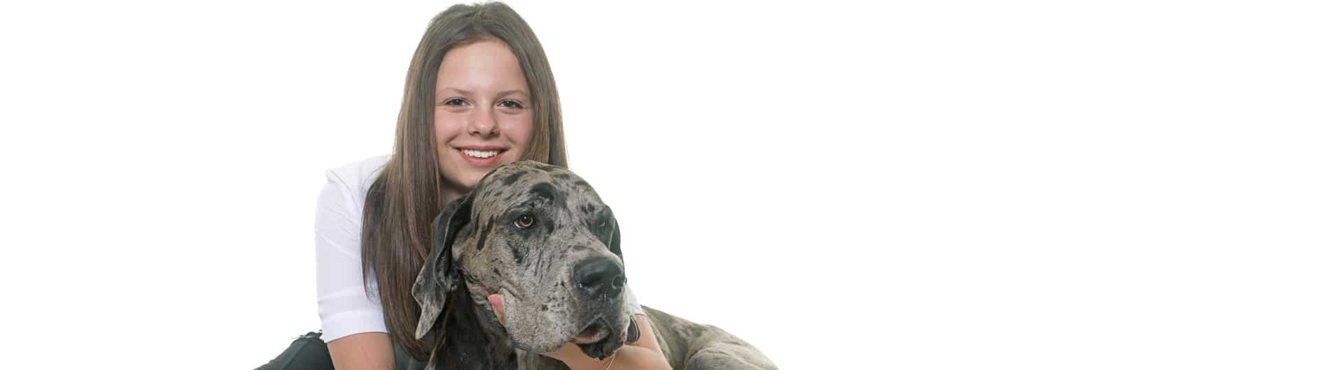 Hundehaftpflicht & Hundeversicherung Deutsche Dogge