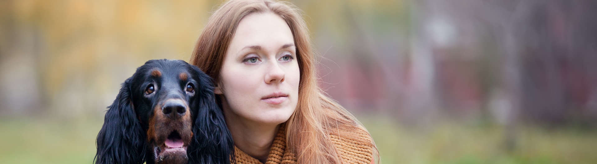 Hundehaftpflicht & Hundeversicherung Gordon Setter