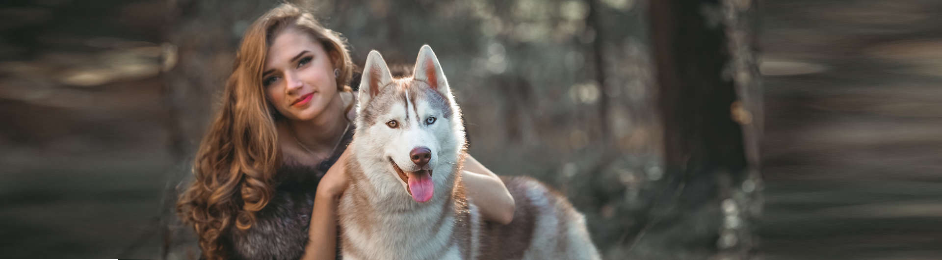 Hundehaftpflicht & Hundeversicherung Husky