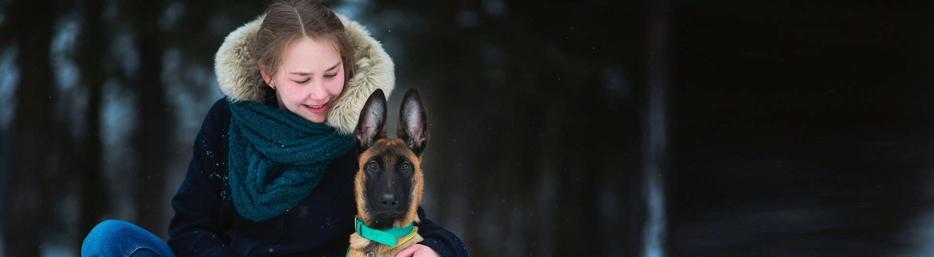 Hundehaftpflicht & Hundeversicherung Belgischer Schäferhund