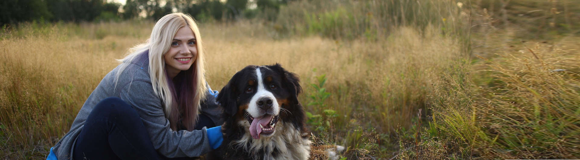 Hundehaftpflicht & Hundeversicherung Berner Sennenhund