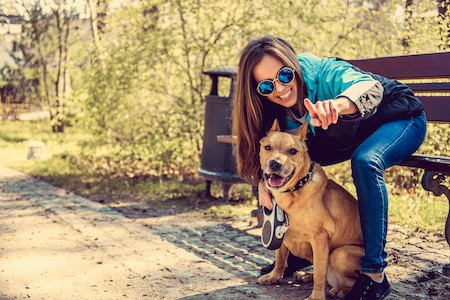 MoneyCheck | Hundehaftpflicht & Hundeversicherung Pitbull