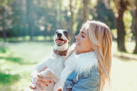 MoneyCheck | Hundehaftpflicht und Hundeversicherung Whippet