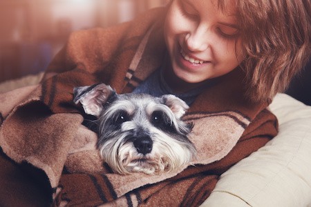 MoneyCheck | Hundehaftpflicht und Hundeversicherung Schnauzer