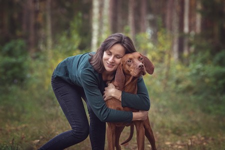 MoneyCheck | Hundehaftpflicht & Hundeversicherung Rhodesian Ridgeback