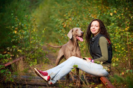 MoneyCheck | Hundehaftpflicht und Hundeversicherung Weimaraner