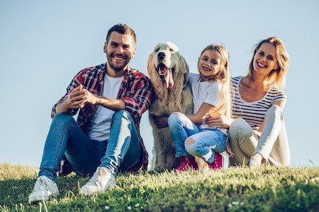 MoneyCheck | InterRisk Hundehaftpflicht & Hundeversicherung