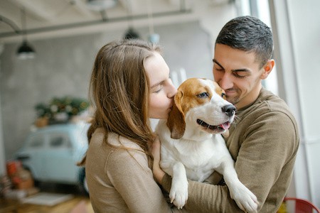 MoneyCheck | Concordia Hundehaftpflicht & Hundeversicherung