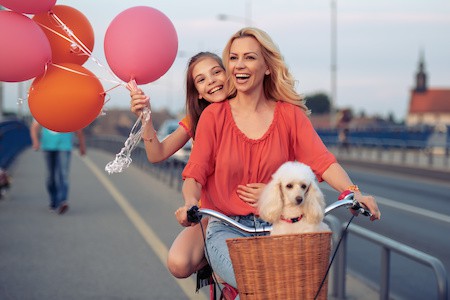 MoneyCheck | Neodigital Hundehaftpflicht & Hundeversicherung