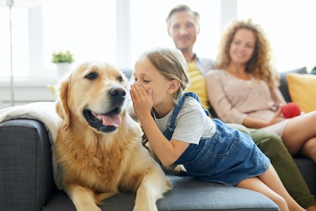 MoneyCheck | Asspario Hundehaftpflicht & Hundeversicherung