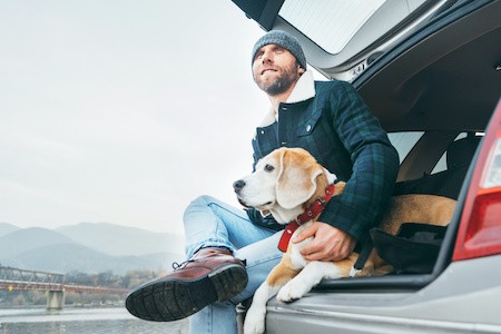 MoneyCheck | Janitos Hundehaftpflicht & Hundeversicherung