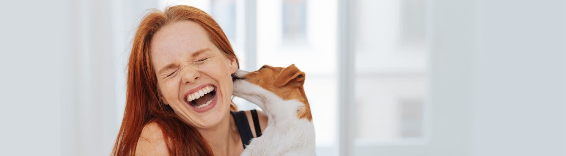 Adam Riese Hundehaftpflicht & Hundeversicherung