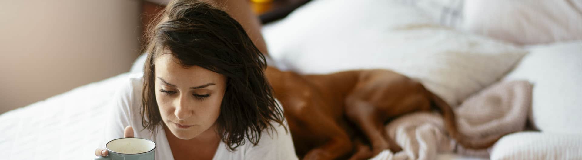 GVO Hundehaftpflicht & Hundeversicherung