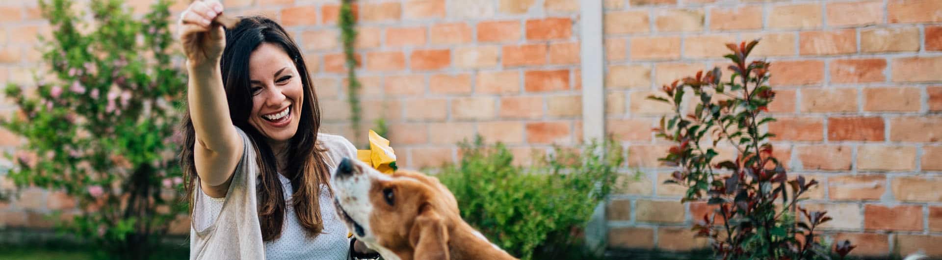 HAKA Darmstadt Hundehaftpflicht & Hundeversicherung