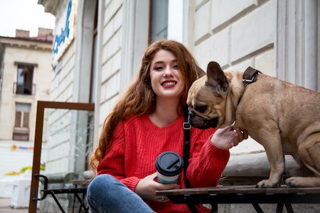 MoneyCheck | Zurich Hundehaftpflicht & Hundeversicherung