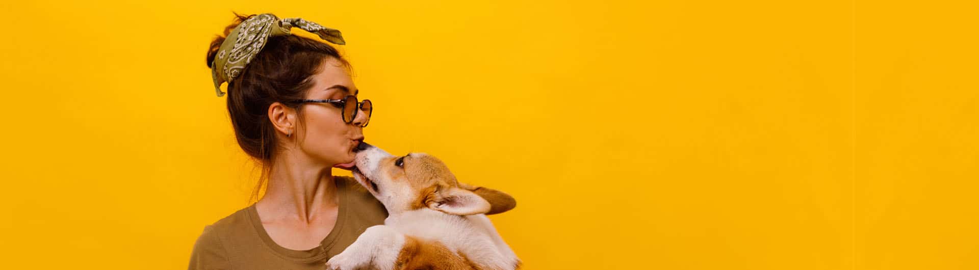 WGV Hundehaftpflicht & Hundeversicherung