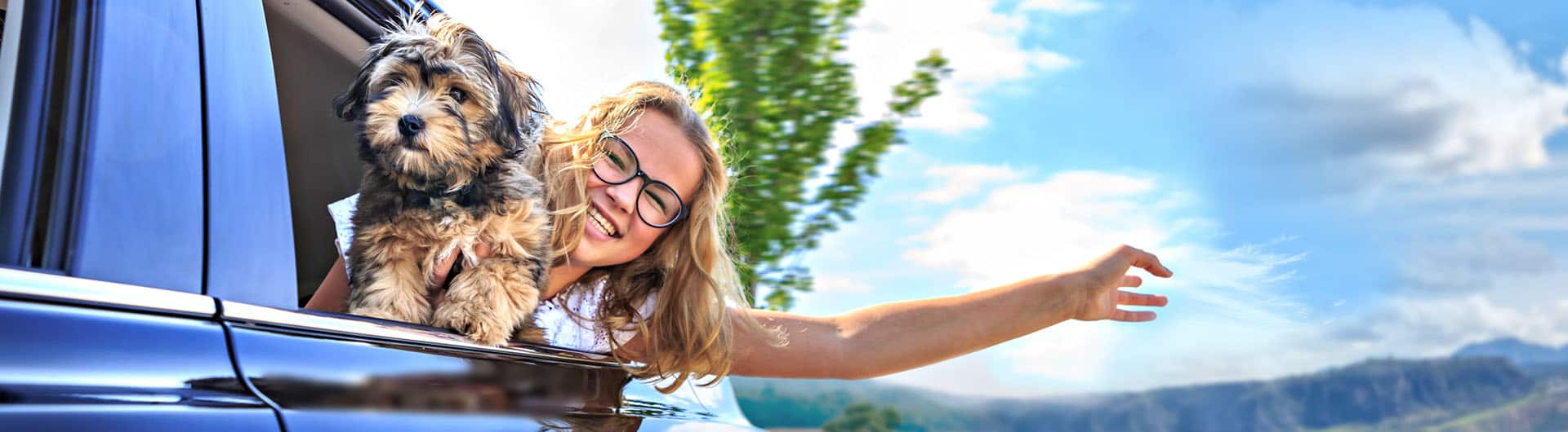 Uelzener Hundehaftpflicht & Hundeversicherung