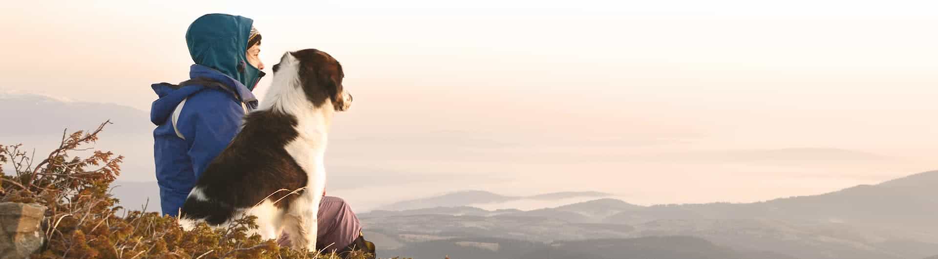 Tierhalterhaftpflicht